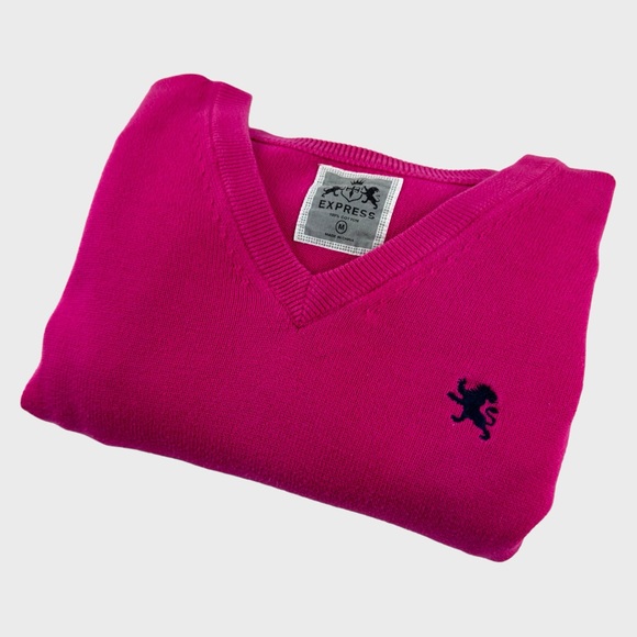Express Pink V-Neck Sweatshirt - Picture 4 of 14